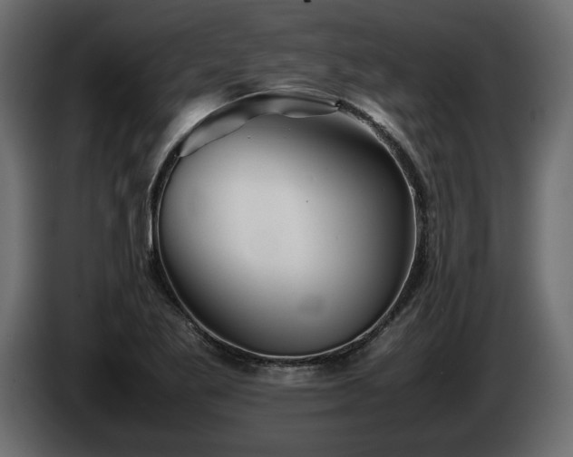 X0000085831269200703231412