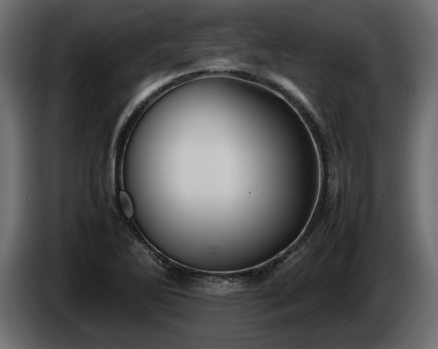 X0000085831270200703231412
