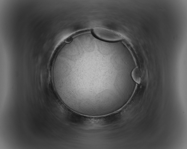 X0000085831271200703231412