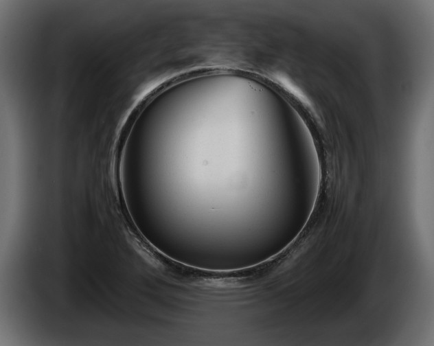 X0000085831272200703231412