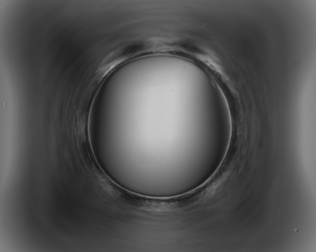 X0000085831273200703231412