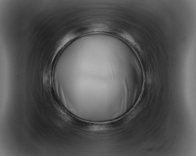 X0000085831274200703231412