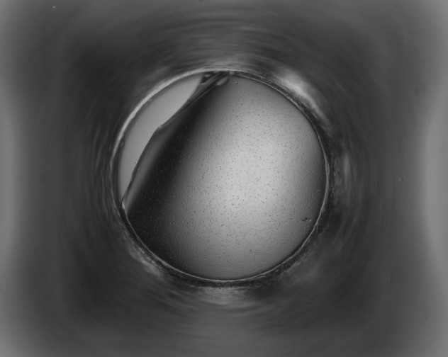 X0000085831276200703231412