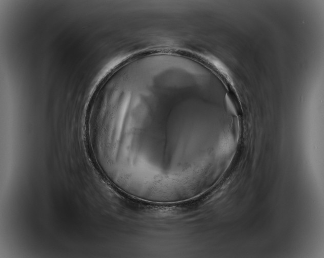 X0000085831279200703231412