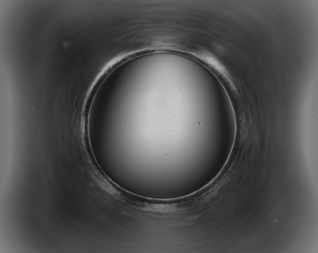 X0000085831280200703231412