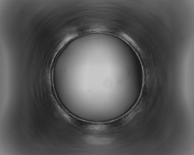 X0000085831282200703231412