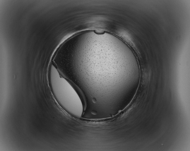 X0000085831284200703231412