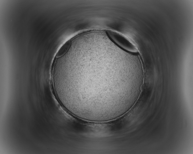 X0000085831287200703231412