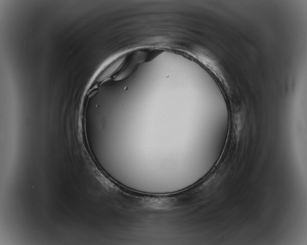 X0000085831288200703231412