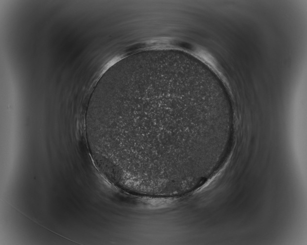 X0000085831289200703231412