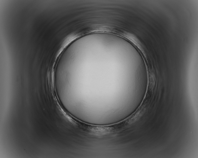 X0000085831290200703231412