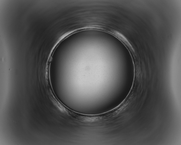 X0000085831292200703231412