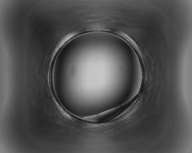 X0000085831293200703231412