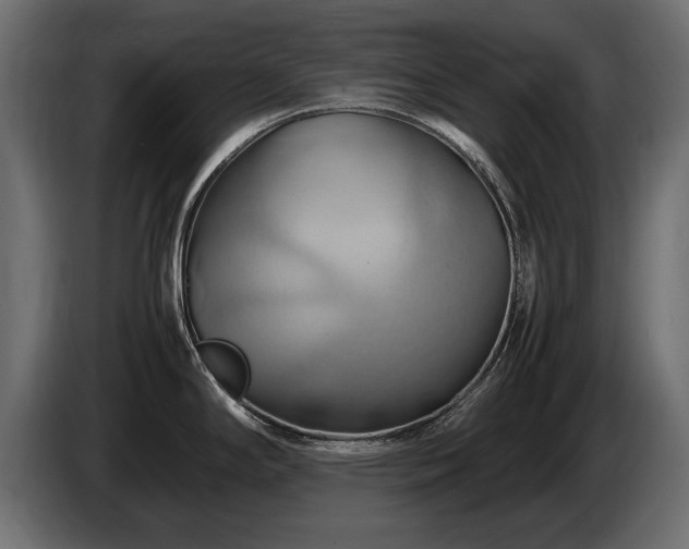 X0000085831294200703231412