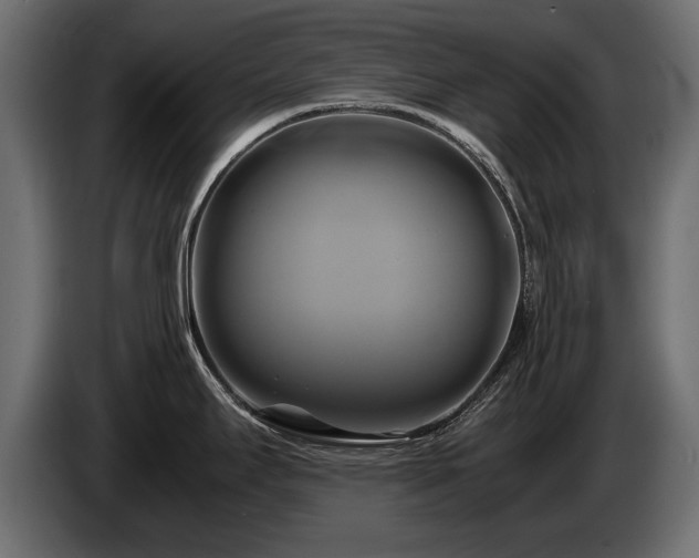 X0000085831295200703231412