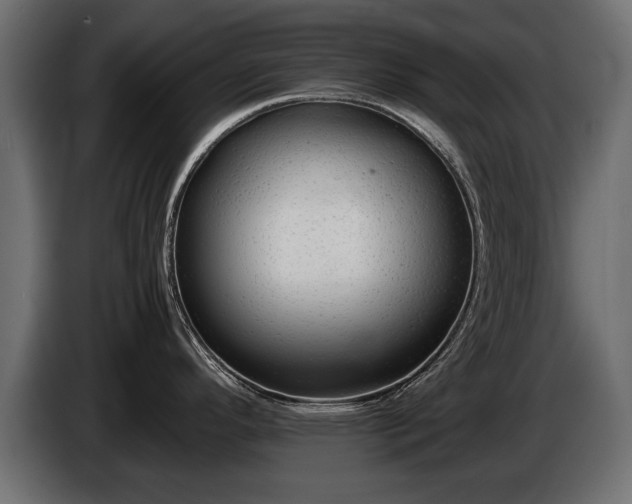 X0000085831296200703231412