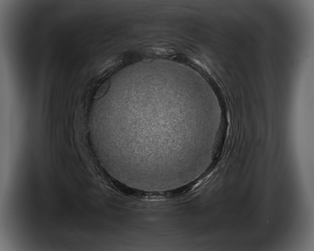 X0000085831297200703231411