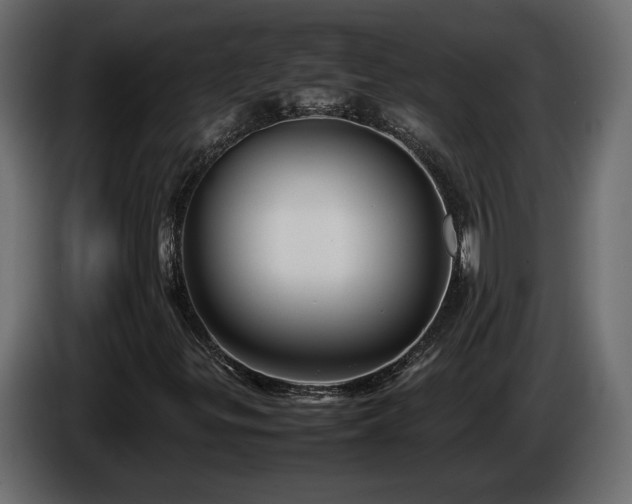 X0000085831299200703231411