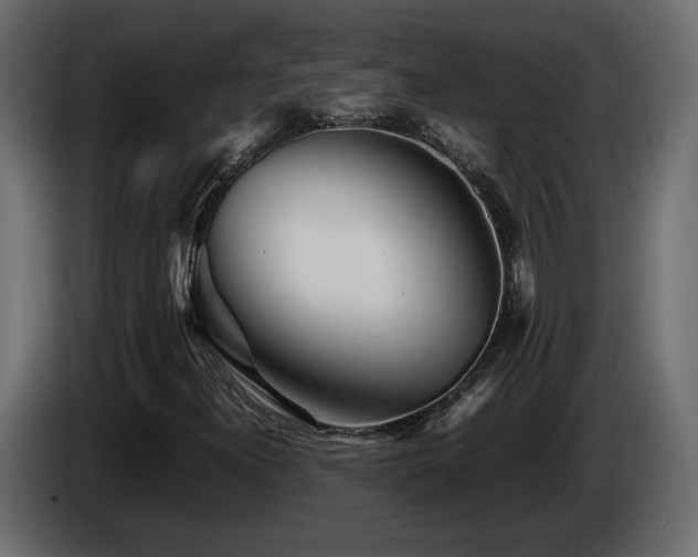 X0000085831300200703231411