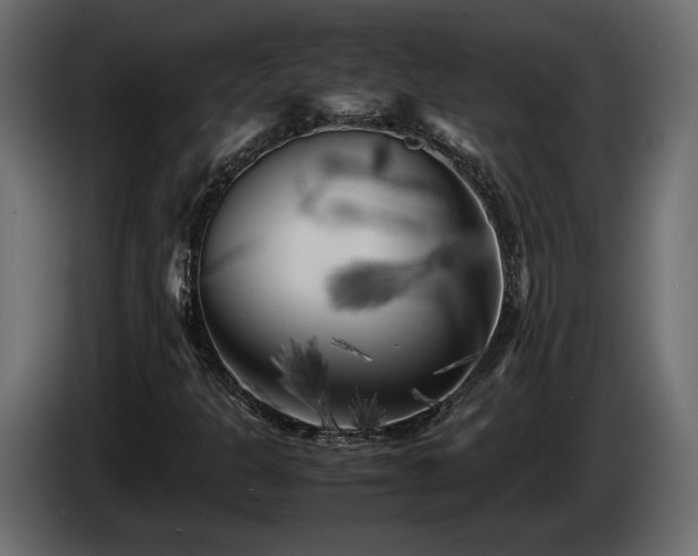 X0000085831301200703231411