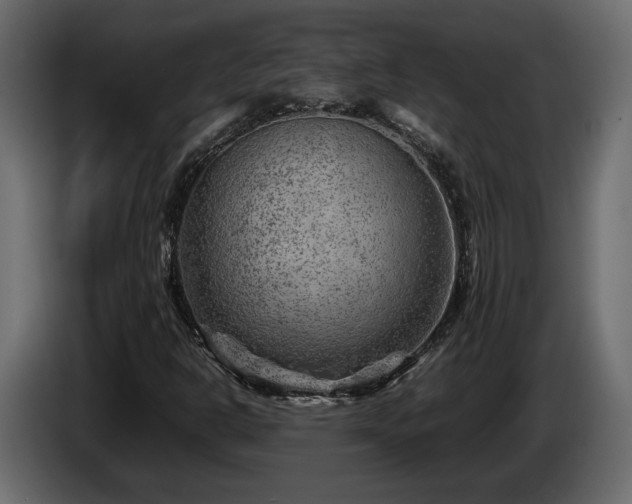 X0000085831302200703231411