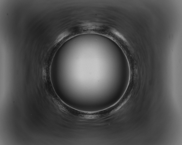 X0000085831305200703231411