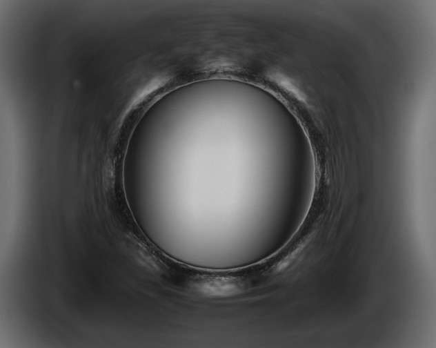 X0000085831309200703231411