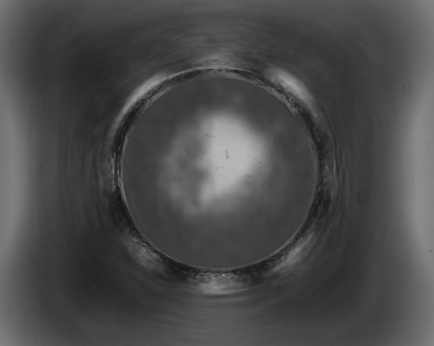 X0000085831310200703231411
