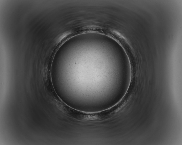 X0000085831313200703231411
