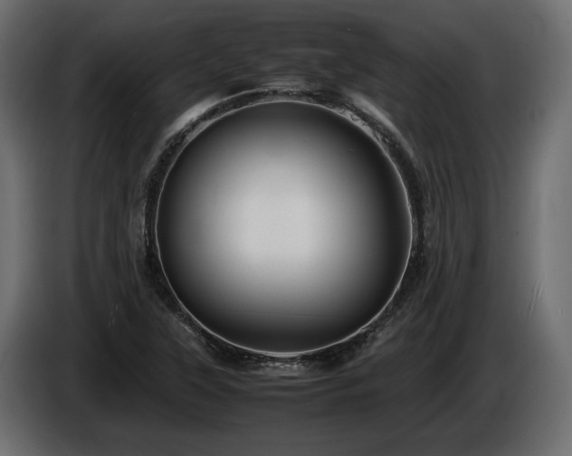 X0000085831315200703231411