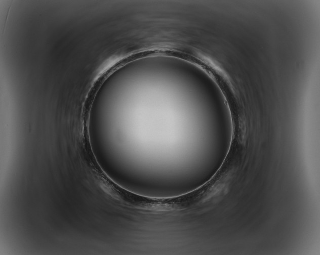 X0000085831316200703231411