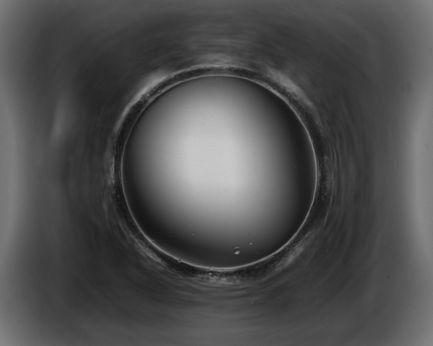 X0000085831318200703231411