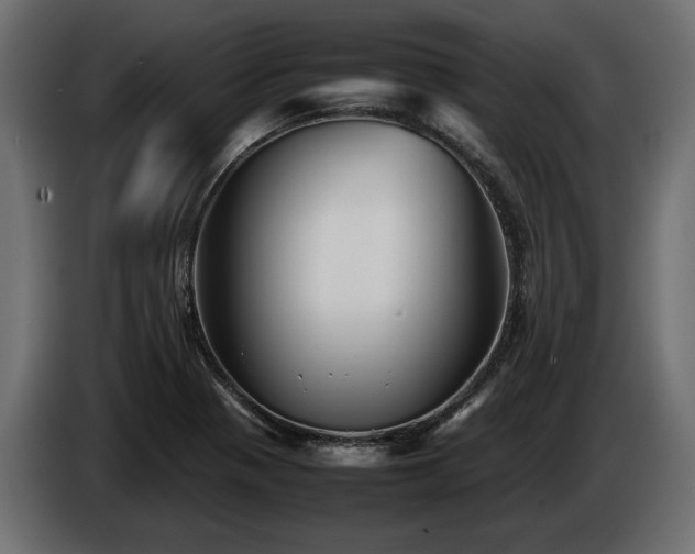 X0000085831321200703231411