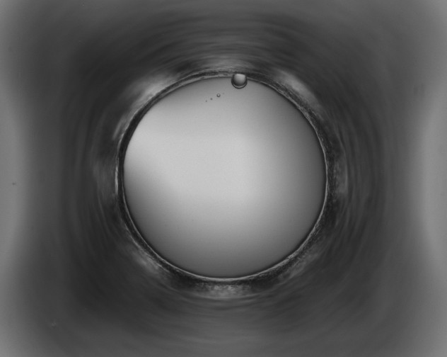X0000085831322200703231411