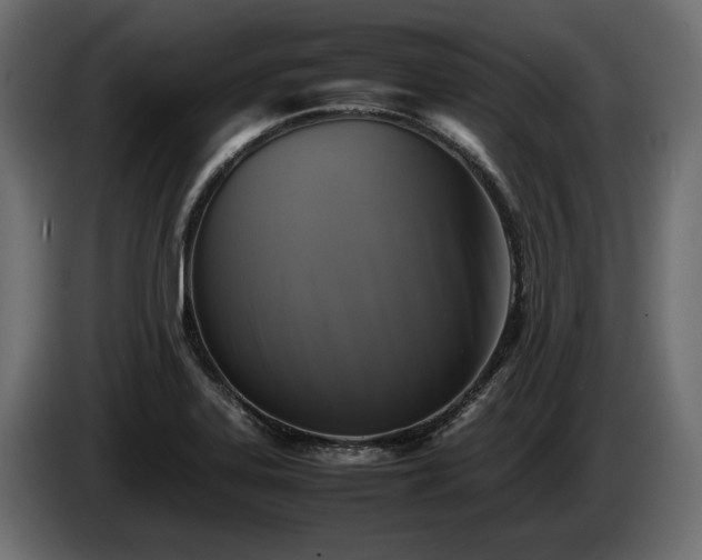 X0000085831323200703231411