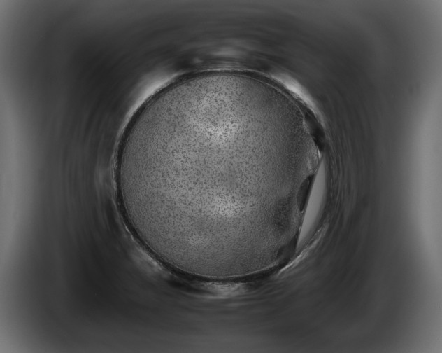 X0000085831325200703231411