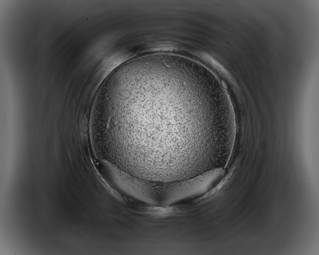 X0000085831329200703231412