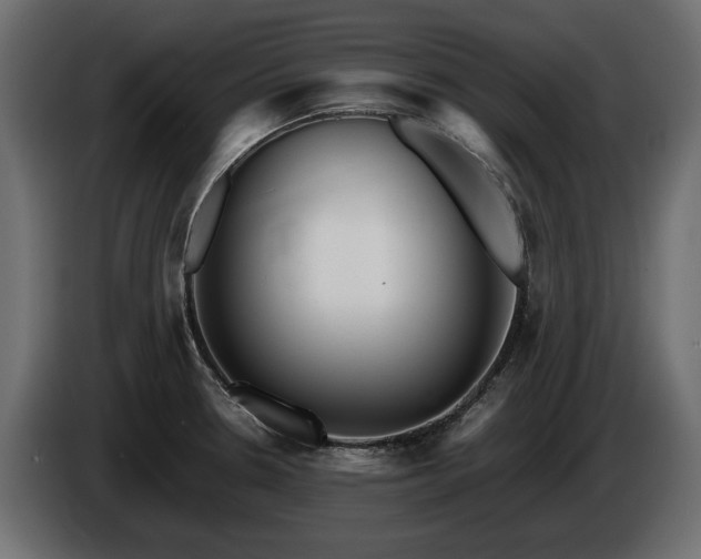 X0000085831330200703231412