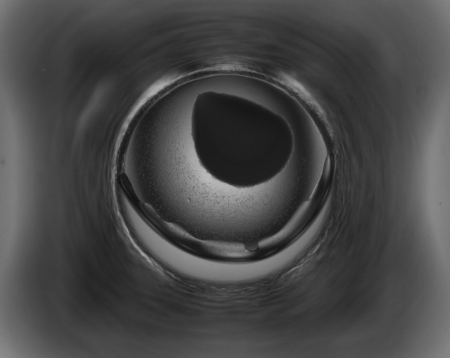 X0000085831331200703231412