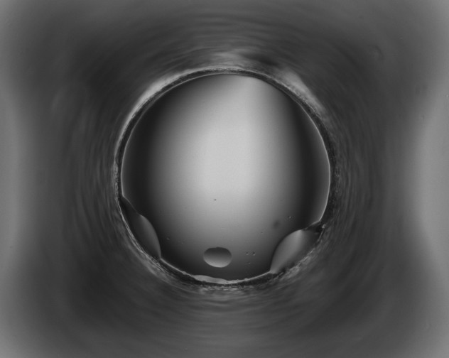 X0000085831332200703231412