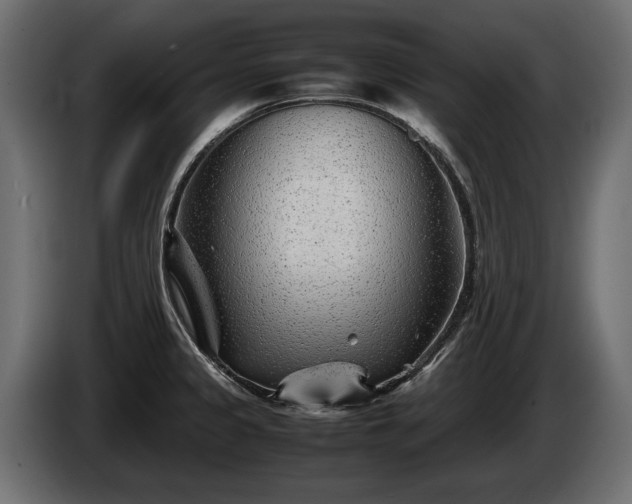 X0000085831333200703231412