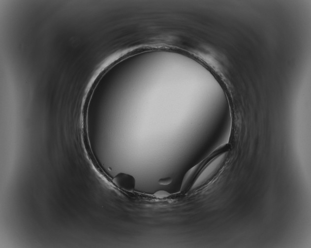 X0000085831335200703231412