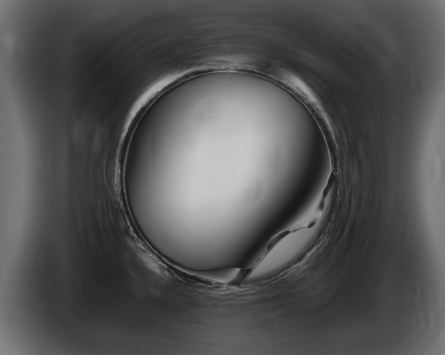 X0000085831336200703231412