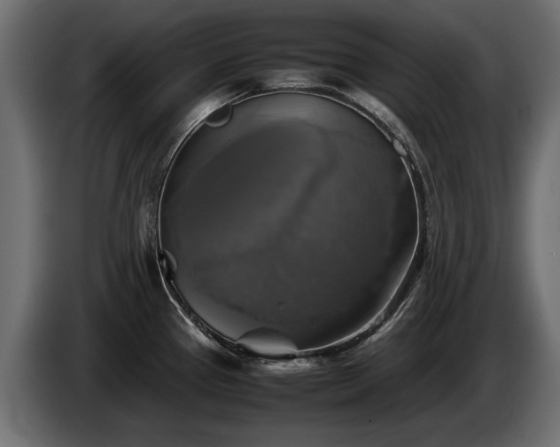 X0000085831337200703231412