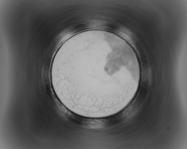 X0000085831338200703231412