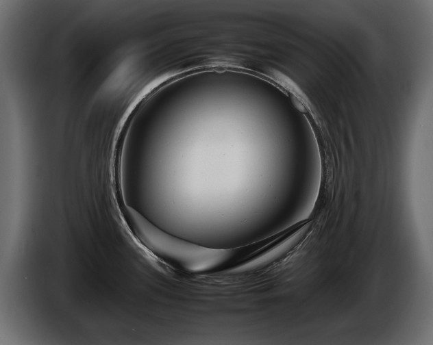 X0000085831339200703231412