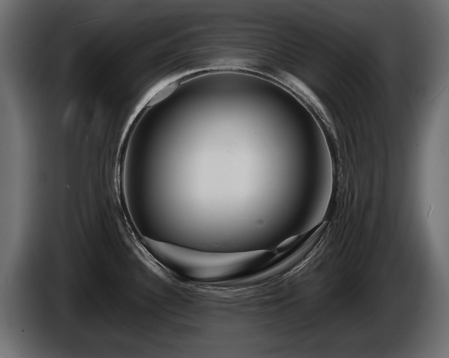 X0000085831340200703231412