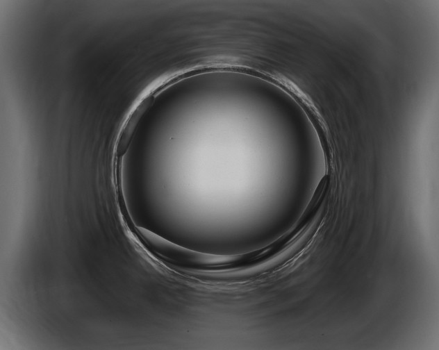 X0000085831342200703231412