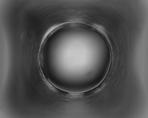 X0000085831344200703231412