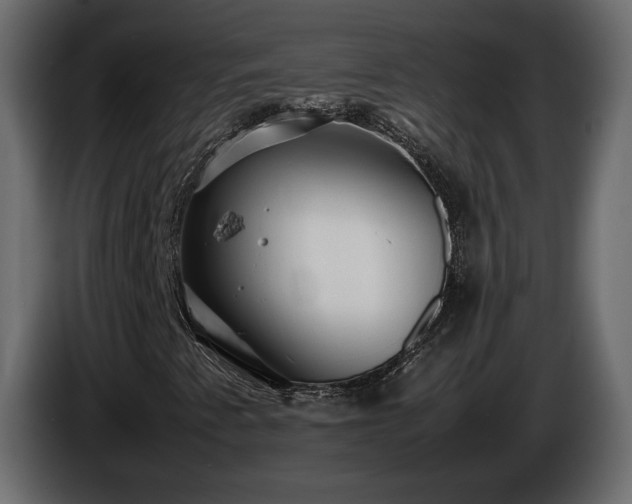 X0000085831345200703231411